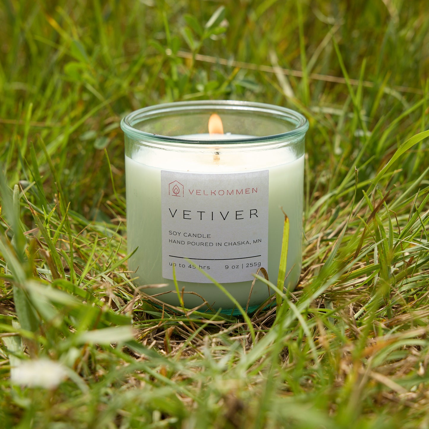 Vetiver