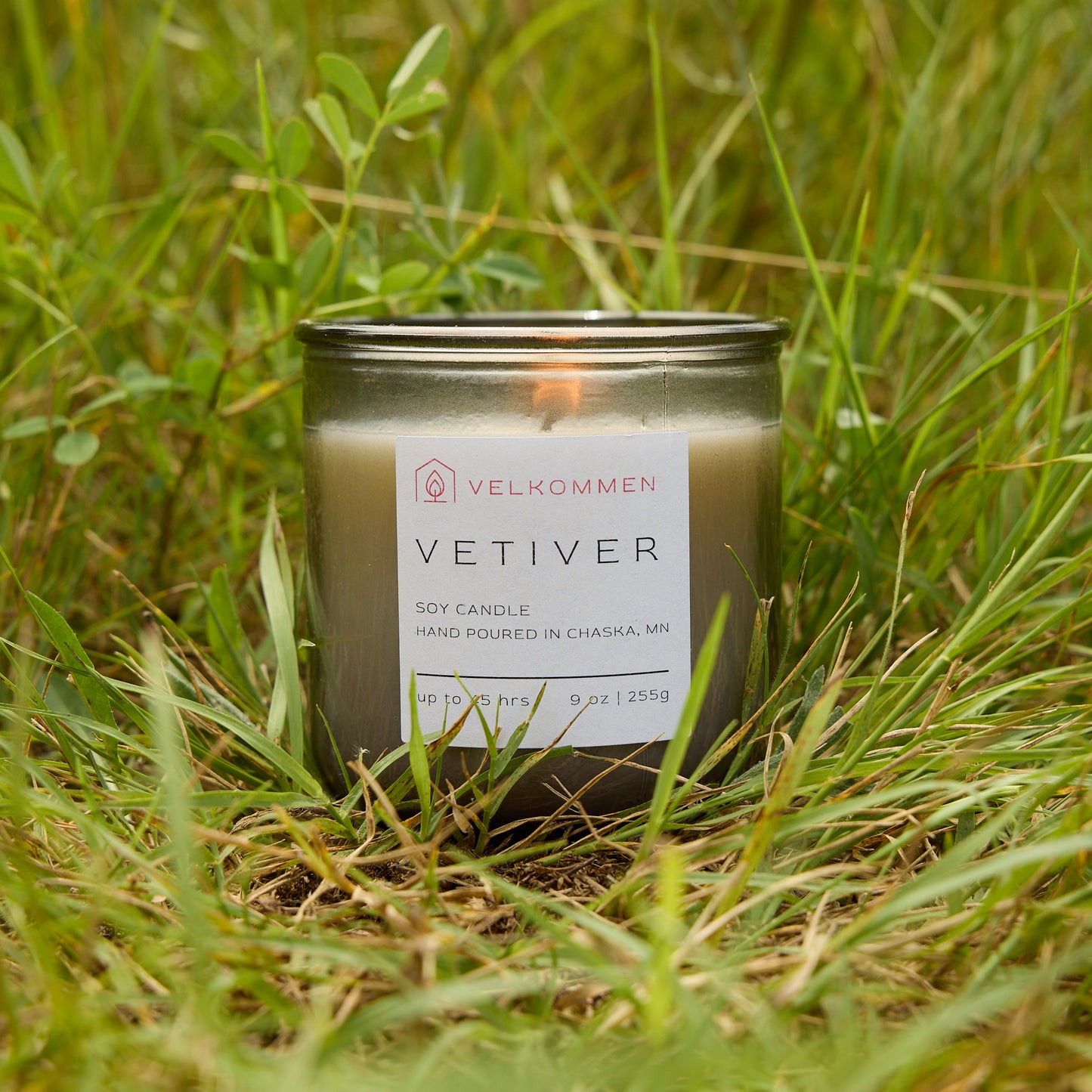 Vetiver